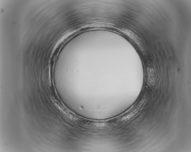 X0000058110982200510171240