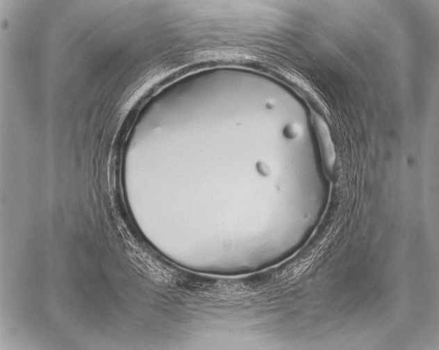 X0000058110983200510171240