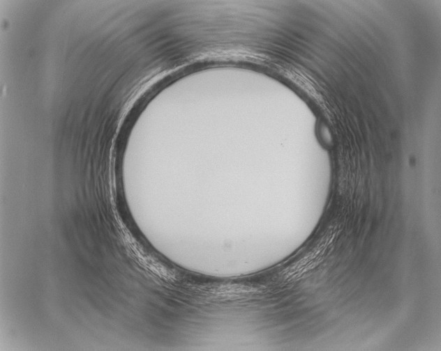 X0000058110984200510171240