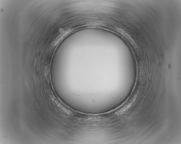 X0000058110985200510171240