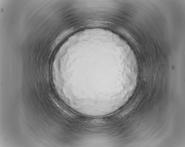 X0000058110986200510171240