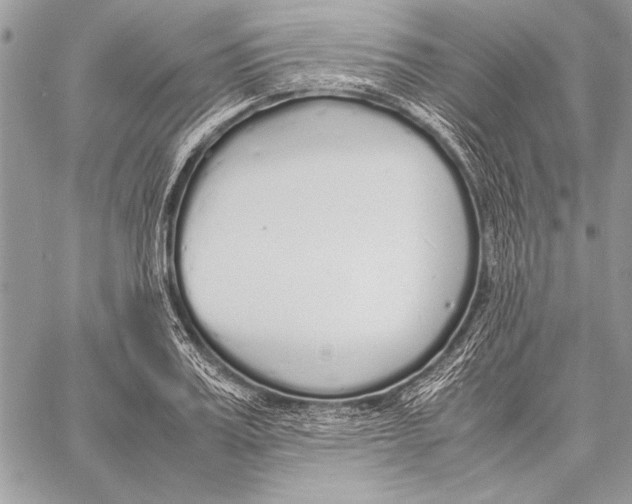 X0000058110987200510171240