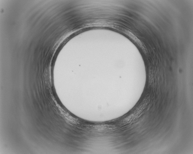 X0000058110988200510171240