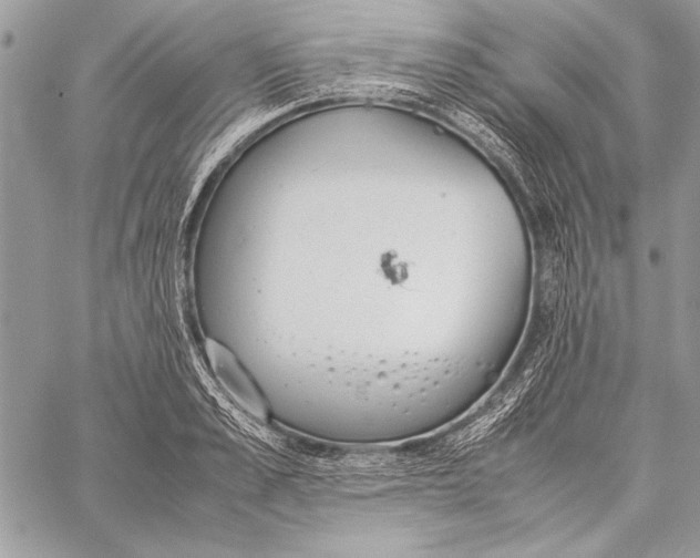 X0000058110989200510171240