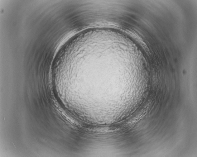 X0000058110990200510171240