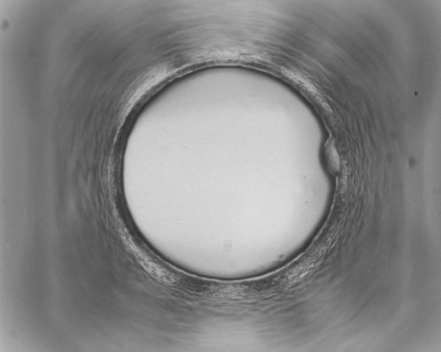 X0000058110991200510171239