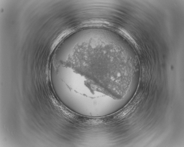 X0000058110994200510171239