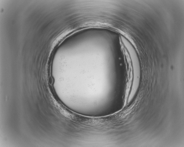 X0000058110995200510171239