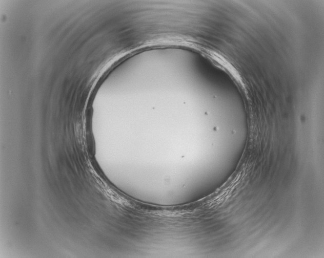 X0000058110996200510171239