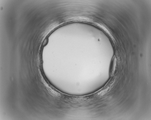 X0000058110999200510171239