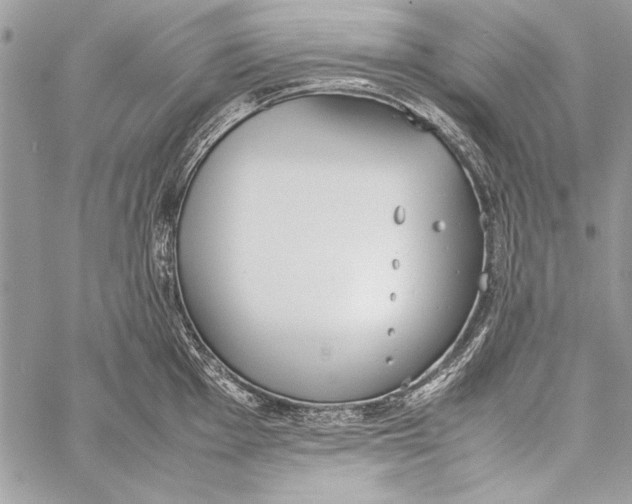 X0000058111001200510171239