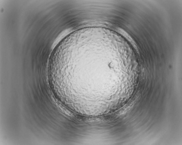 X0000058111002200510171239