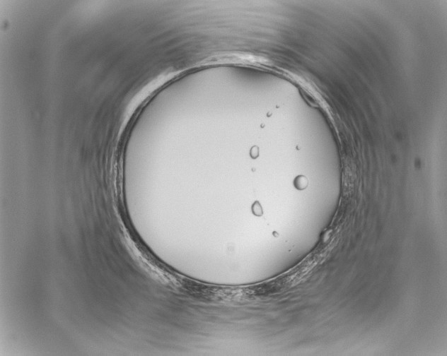 X0000058111003200510171239