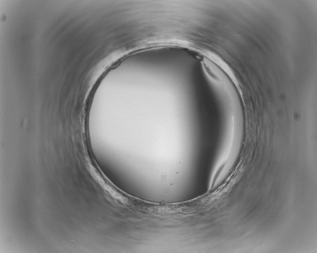 X0000058111005200510171239