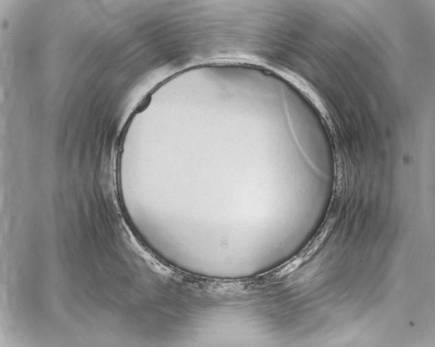 X0000058111006200510171239