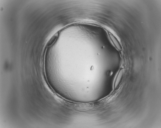 X0000058111007200510171239