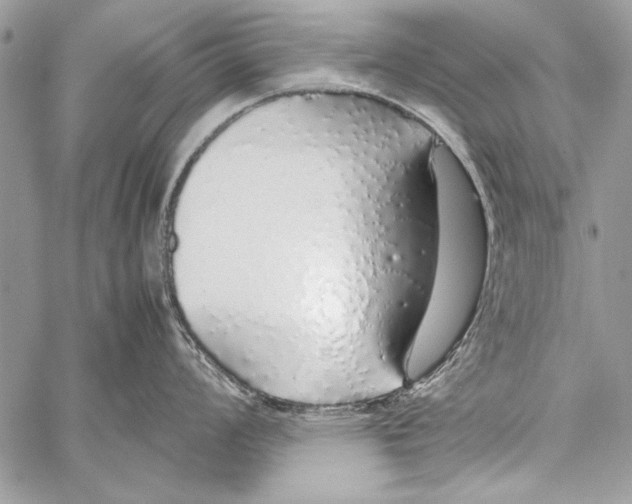 X0000058111008200510171239