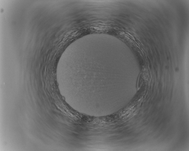 X0000058111009200510171238