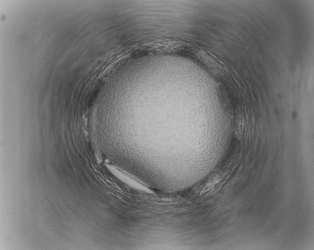 X0000058111010200510171238