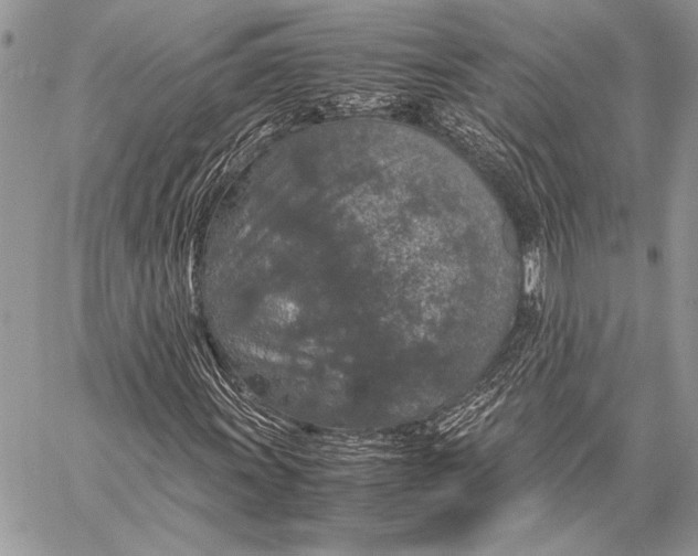 X0000058111011200510171238