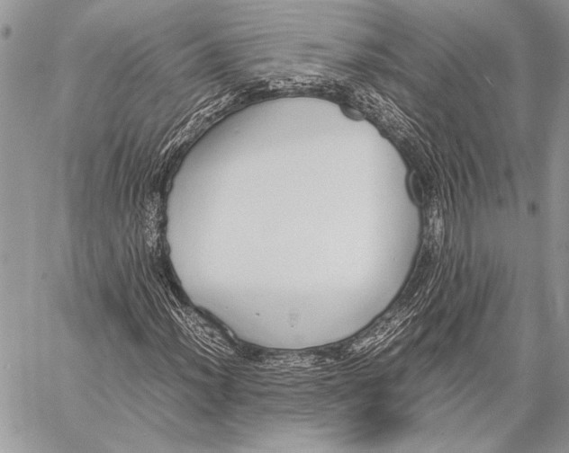 X0000058111012200510171238