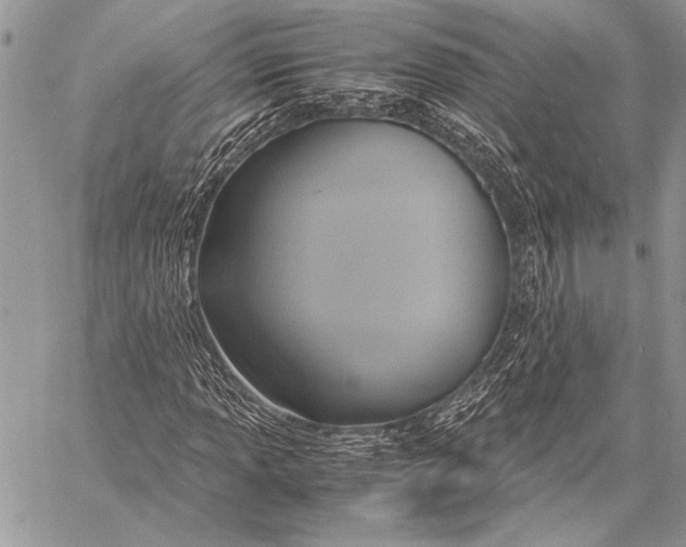 X0000058111013200510171238