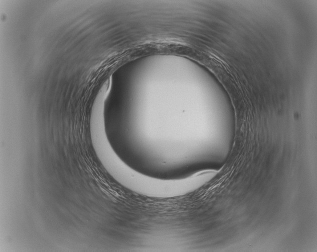 X0000058111014200510171238