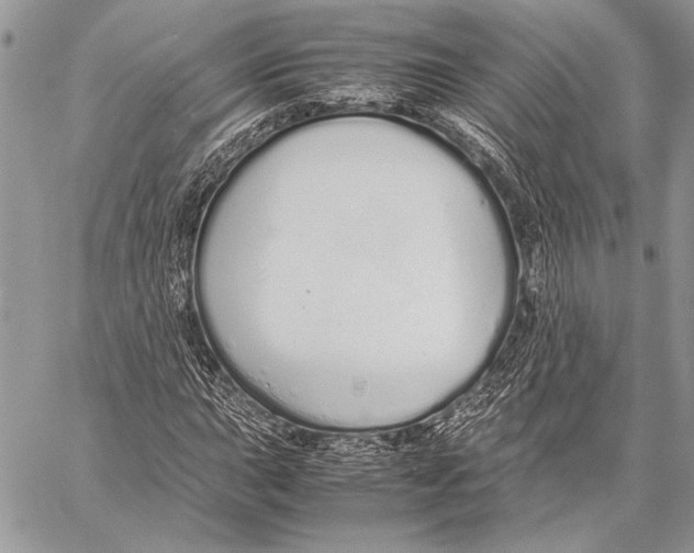 X0000058111015200510171239