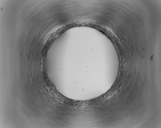 X0000058111016200510171239