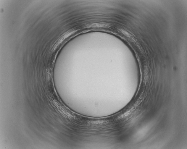 X0000058111017200510171239