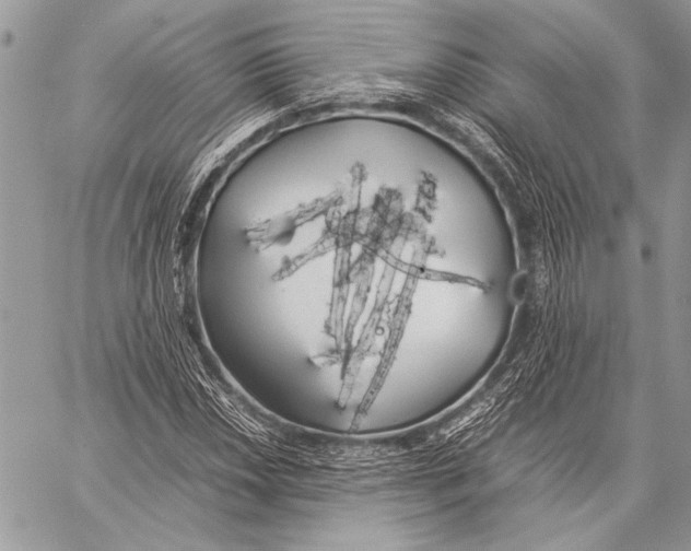 X0000058111018200510171239