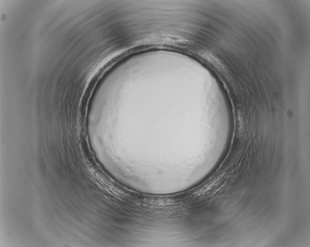 X0000058111020200510171239