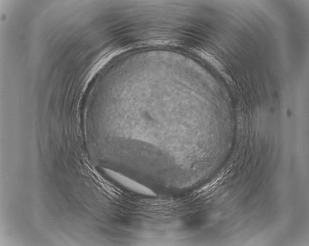 X0000058111023200510171239