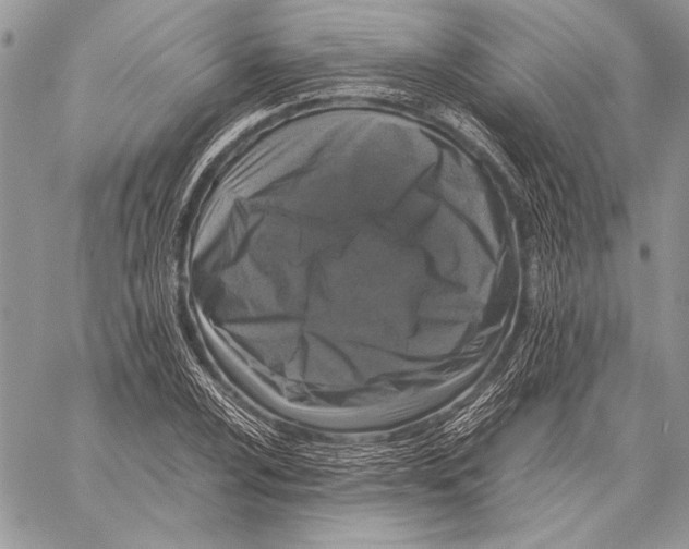 X0000058111024200510171239