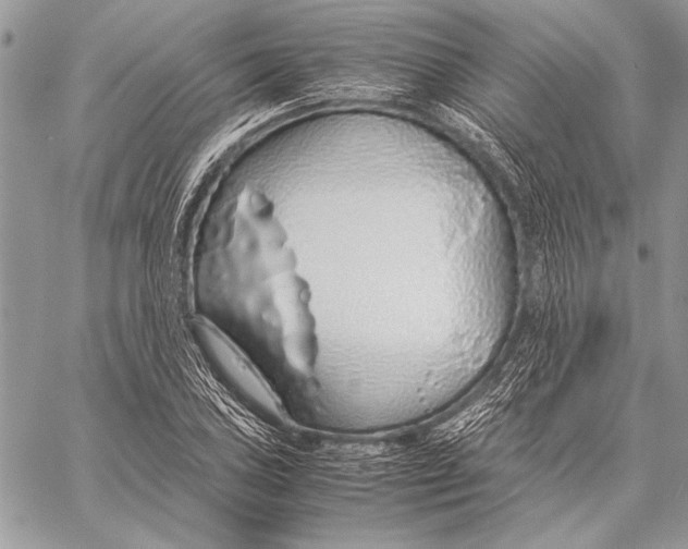 X0000058111027200510171239