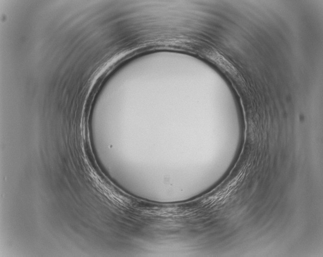 X0000058111028200510171239