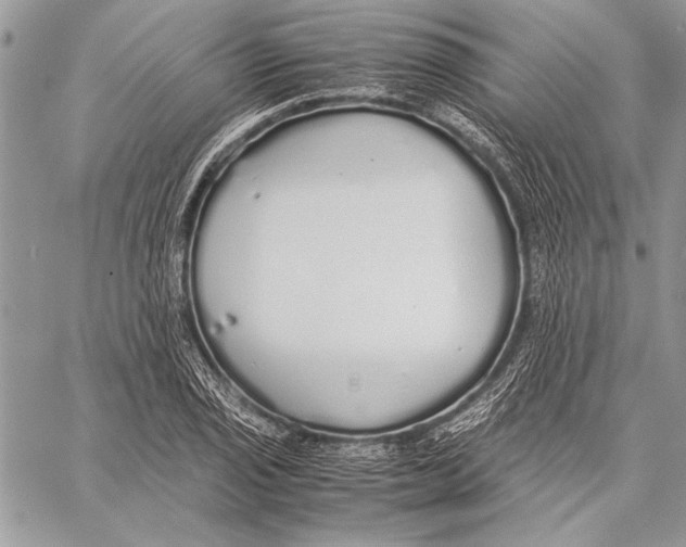 X0000058111029200510171239