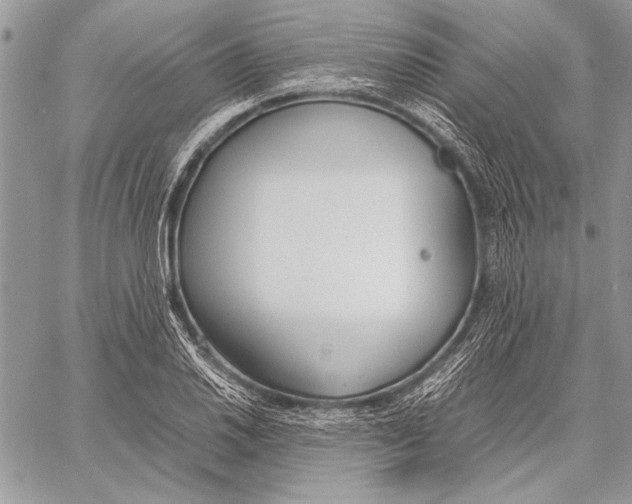 X0000058111030200510171239