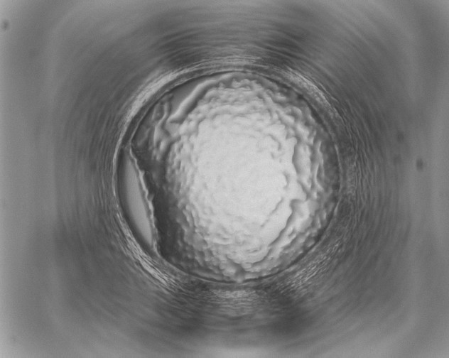 X0000058111031200510171239