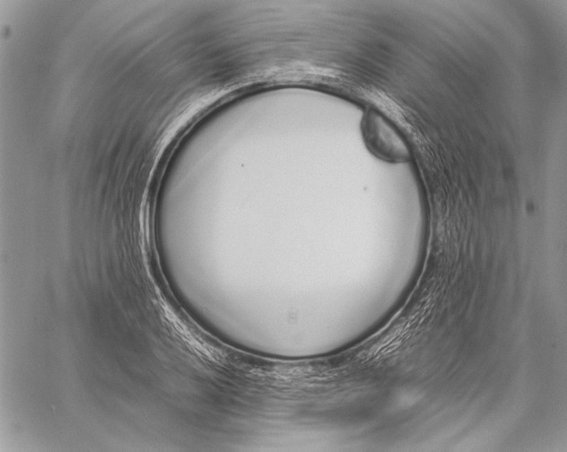 X0000058111032200510171239