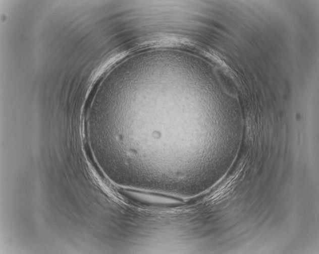 X0000058111034200510171239