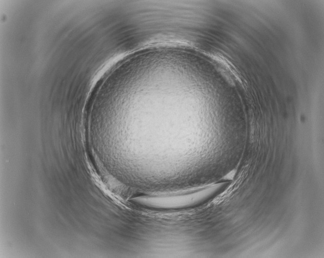 X0000058111038200510171239