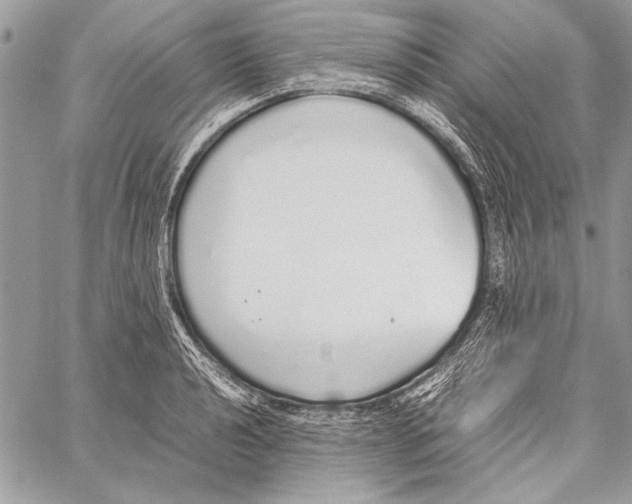 X0000058111040200510171239