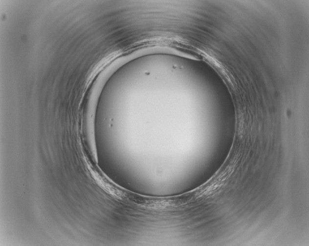 X0000058111042200510171239