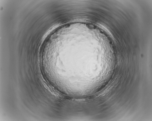 X0000058111043200510171239