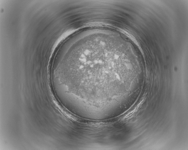 X0000058111045200510171239