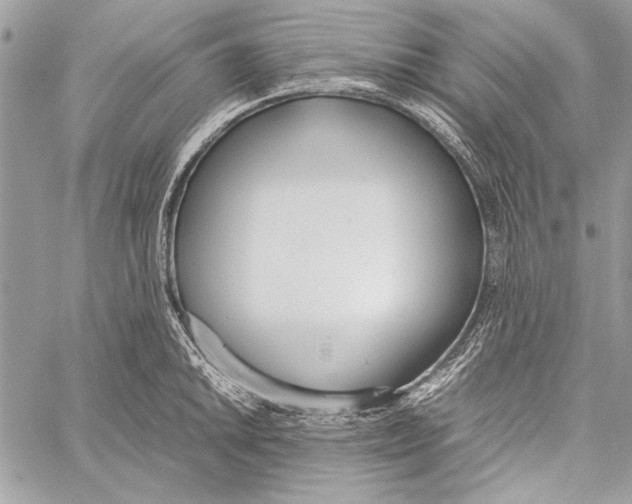 X0000058111046200510171239