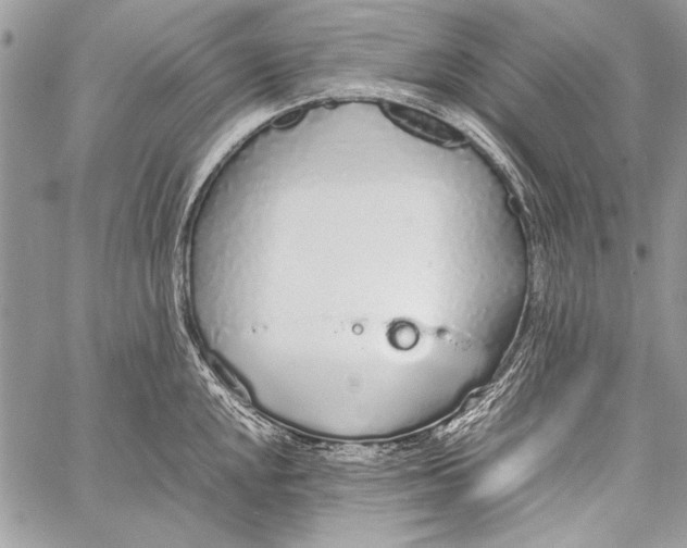 X0000058111048200510171239