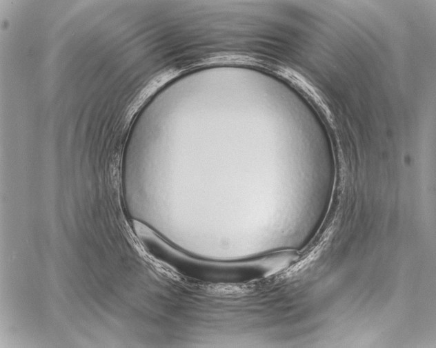 X0000058111049200510171239