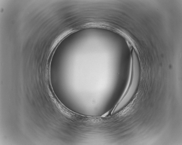 X0000058111050200510171239